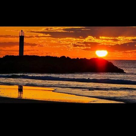 Studio Au Cap D'Agde Dans Les Pinedes Eksteriør bilde