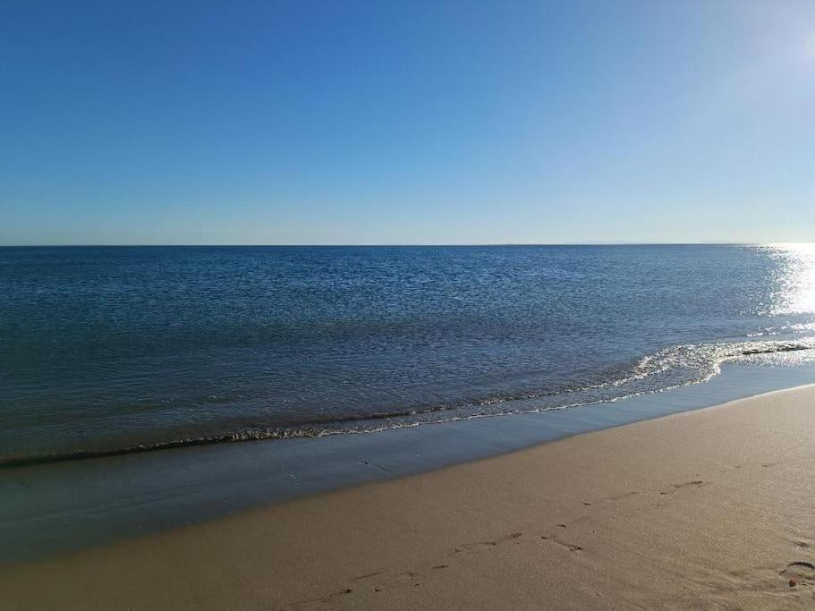 Studio Au Cap D'Agde Dans Les Pinedes Eksteriør bilde