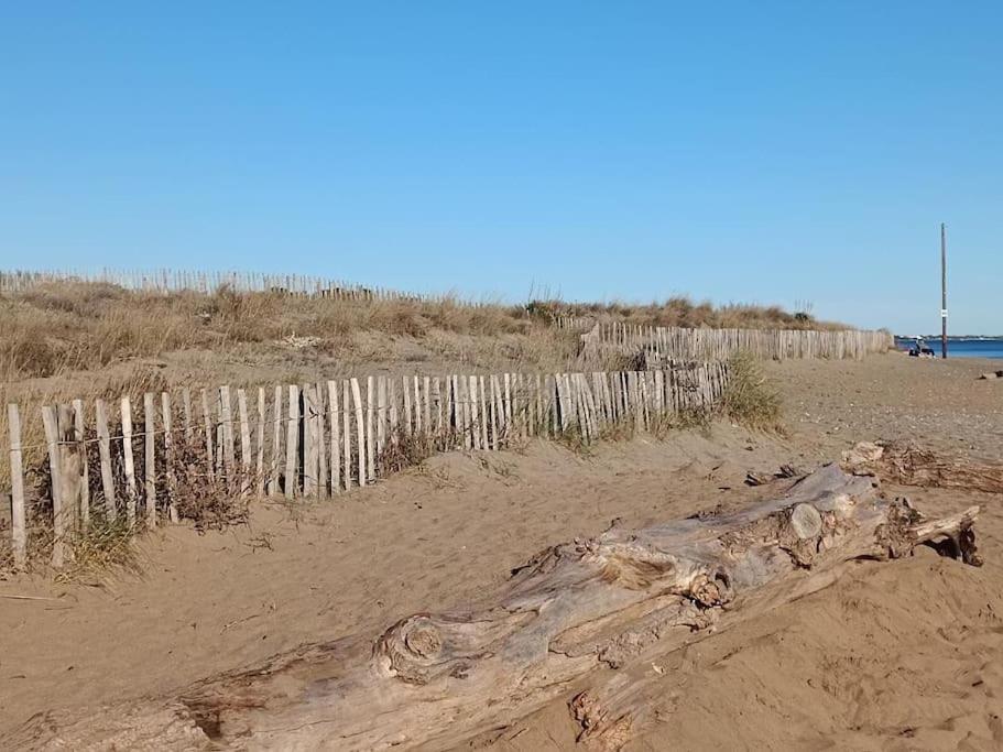 Studio Au Cap D'Agde Dans Les Pinedes Eksteriør bilde