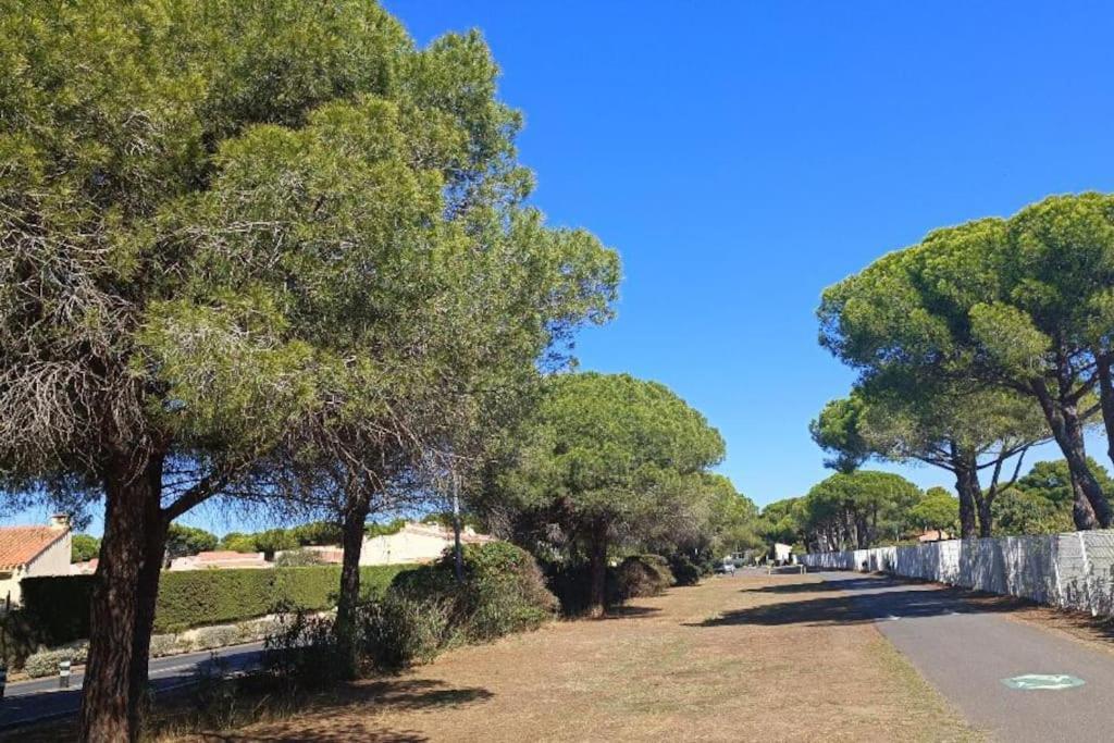 Studio Au Cap D'Agde Dans Les Pinedes Eksteriør bilde