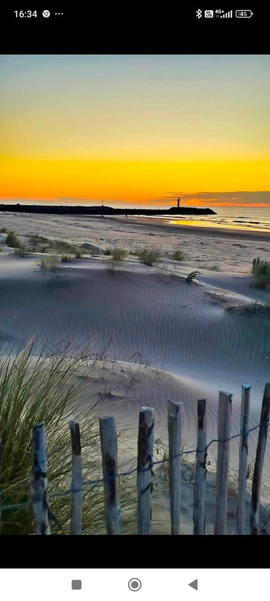 Studio Au Cap D'Agde Dans Les Pinedes Eksteriør bilde